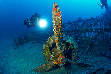 Dive 19